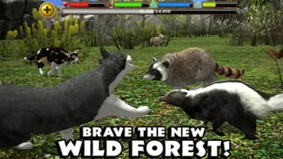 Stray Cat Simulator — Screenshoty
