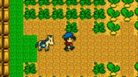 Harvest Moon GB — Screenshots