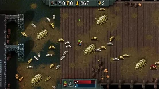 Hammerwatch — Screenshoty