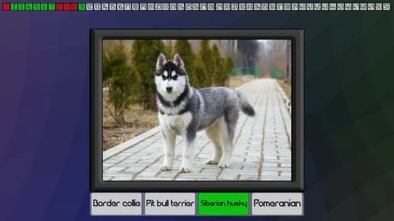 Test your knowledge: Dogs — Screenshoty
