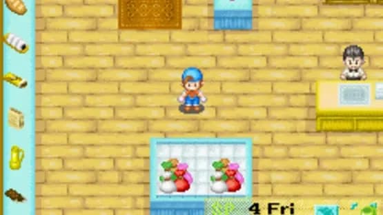 Harvest Moon: Friends of Mineral Town — Screenshoty