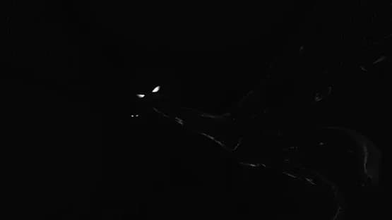 Wilson's Heart — Screenshoty