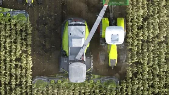Professional Farmer: Cattle and Crops — Screenshots