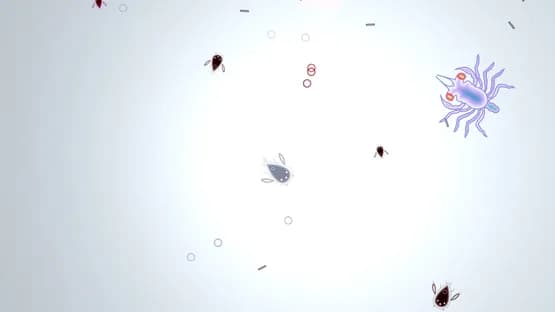 Feesh — Screenshots