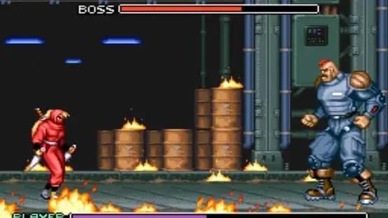 Ninja Warriors — Screenshoty
