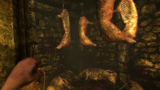 Amnesia: Collection — Screenshoty