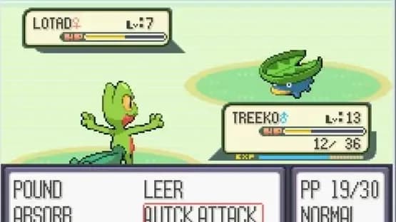 Pokémon Ruby Version — Screenshoty