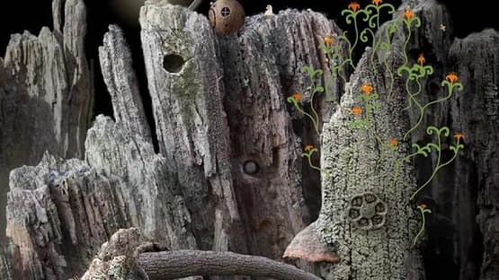 Samorost — Screenshoty