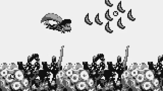 Donkey Kong Land III — Screenshoty