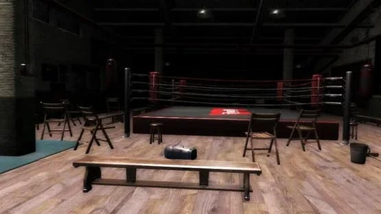 Boxing Saga — Screenshoty