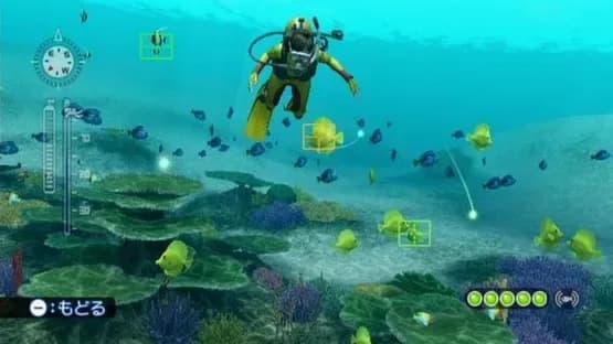 Endless Ocean: Blue World — Screenshots