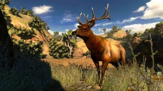 Cabela's Hunting Expeditions — Screenshoty