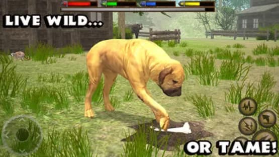 Ultimate Dog Simulator — Screenshots