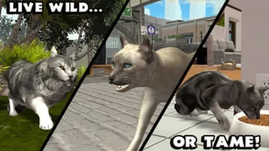Ultimate Cat Simulator — Screenshots