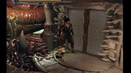Onimusha 2: Samurai's Destiny — Screenshoty