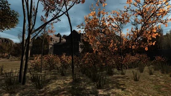 Pineview Drive — Screenshoty