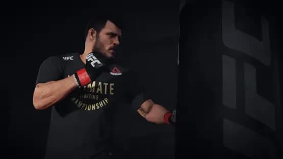 EA Sports UFC 3 — Screenshoty