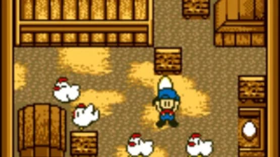 Harvest Moon GB — Screenshots