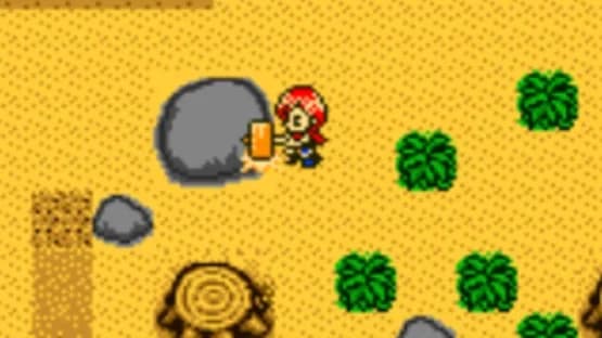 Harvest Moon 2 GBC — Screenshoty