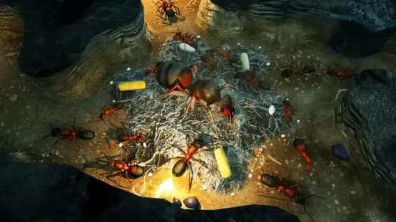 Empires of the Undergrowth — Screenshots