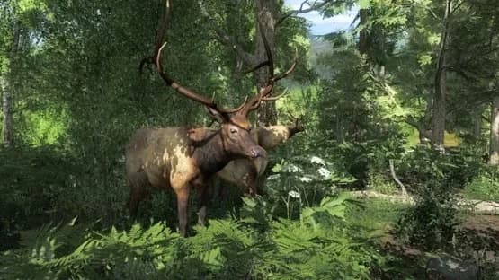 TheHunter Classic — Screenshots