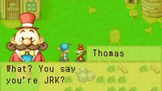 Harvest Moon: Friends of Mineral Town — Screenshoty