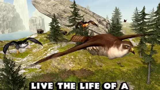 Falcon Simulator — Screenshots