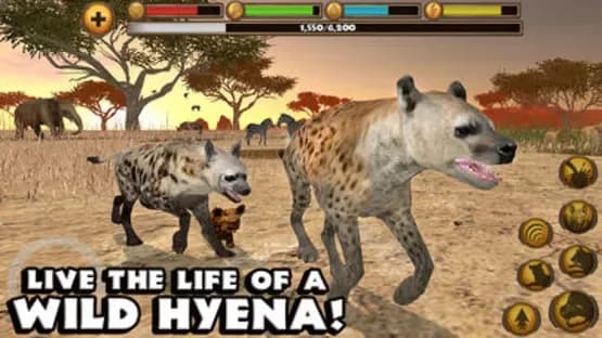 Hyena Simulator — Screenshoty