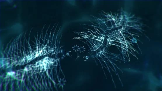 Sparkle Zero — Screenshots