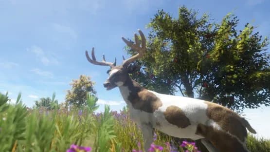 Animallica — Screenshots