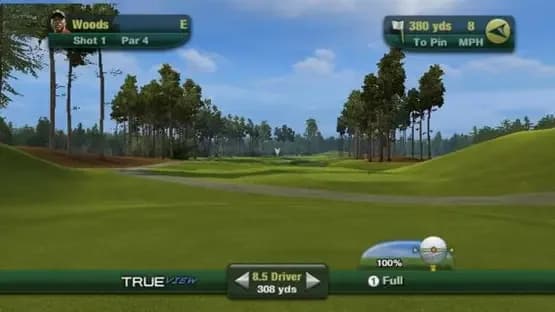 Tiger Woods PGA Tour 11 — Screenshoty