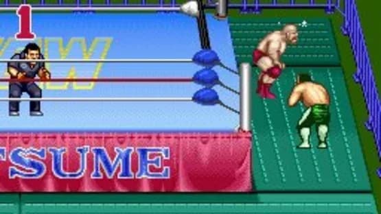 Natsume Championship Wrestling — Screenshoty