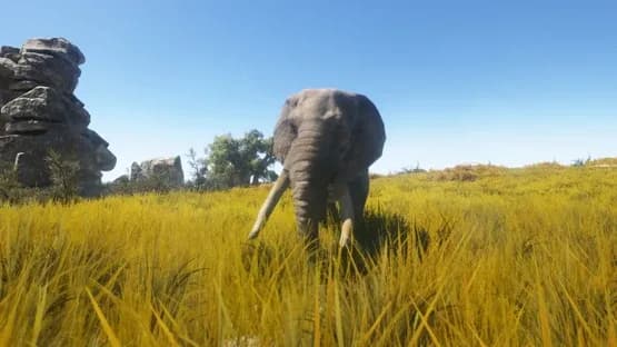 Animallica — Screenshots