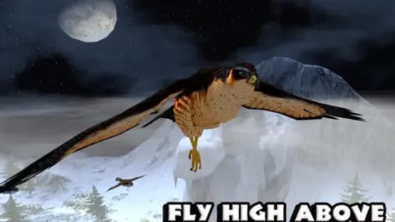 Falcon Simulator — Screenshots