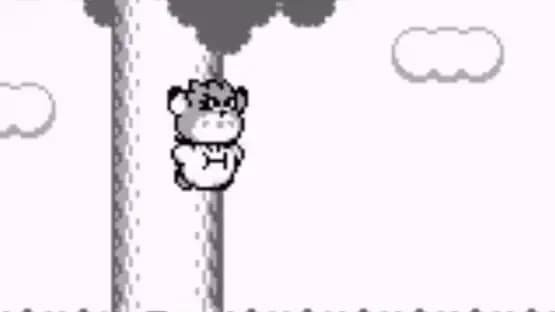 Kirby's Dream Land 2 — Screenshoty