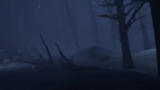 Project Cabin — Screenshoty