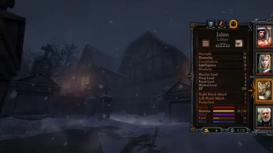 Dungeon Kingdom: Sign of the Moon — Screenshoty
