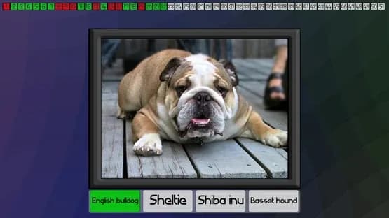 Test your knowledge: Dogs — Screenshoty