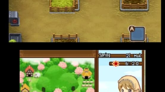 Harvest Moon: The Tale of Two Towns — Screenshots