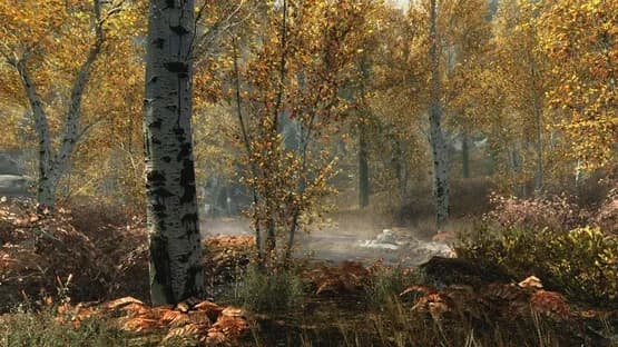 The Elder Scrolls V: Skyrim - Special Edition — Screenshoty