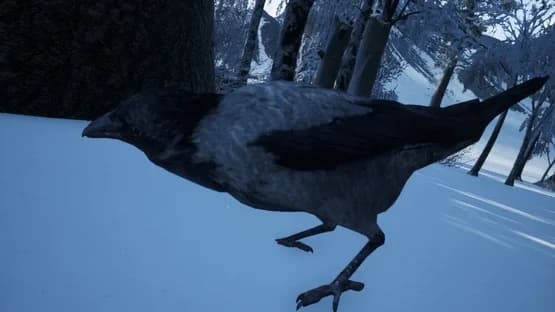 Hiking Simulator 2018 — Screenshoty
