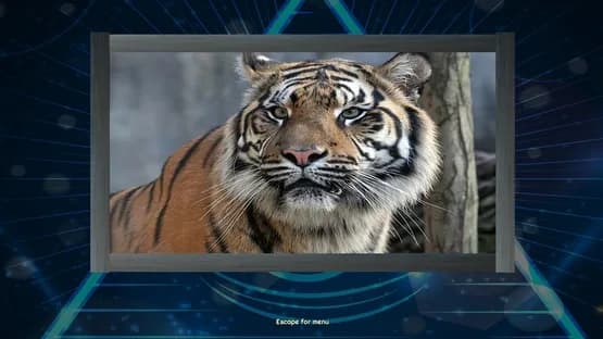 Trials of the Illuminati: Amazing Wildlife Jigsaws — Screenshots