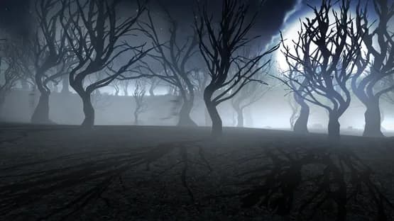 Fading Visage — Screenshots