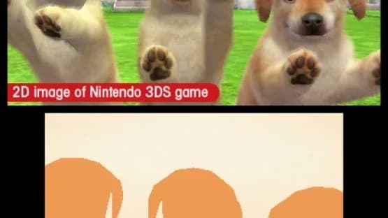 Nintendogs + Cats: Golden Retriever & New Friends — Screenshoty