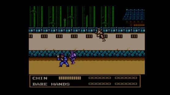 Double Dragon III: The Sacred Stones — Screenshots