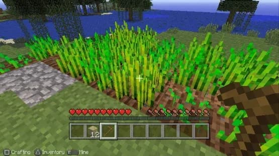 Minecraft: Playstation Vita Edition — Screenshoty