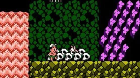 Adventure Island 3 — Screenshoty