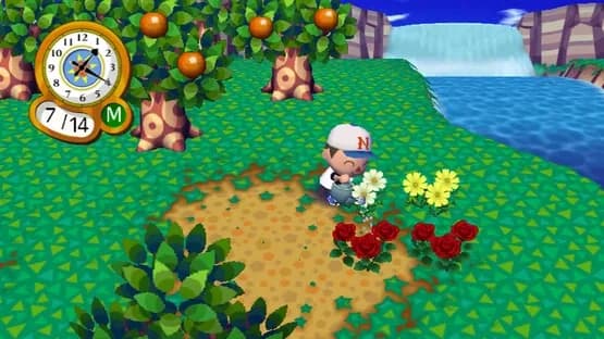 Animal Crossing: City Folk — Screenshoty