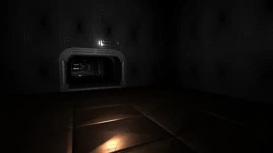 P-Walker's Simulation — Screenshots