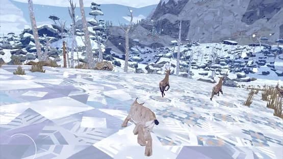 Shelter 2 — Screenshots